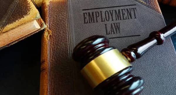 Employment Law Attorneys