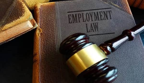 Employment Law Attorneys
