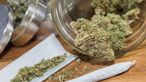 Marijuana Weed