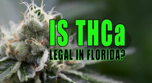THC 