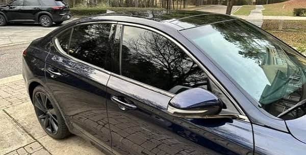 15% Tint