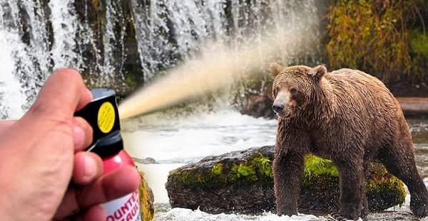 Bear Spray