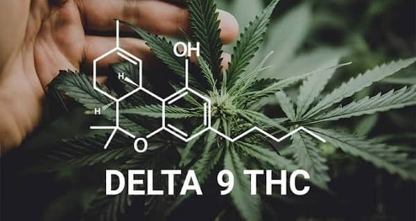 Delta 9