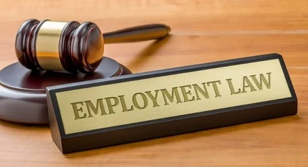 Employment Law Attorneys