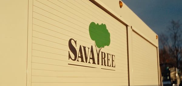 SavATree