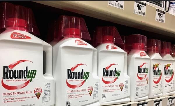 Bayer Roundup